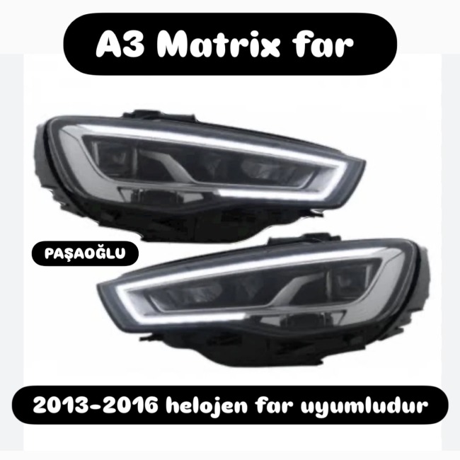 Text